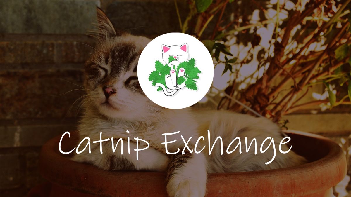 catnip exchange crypto