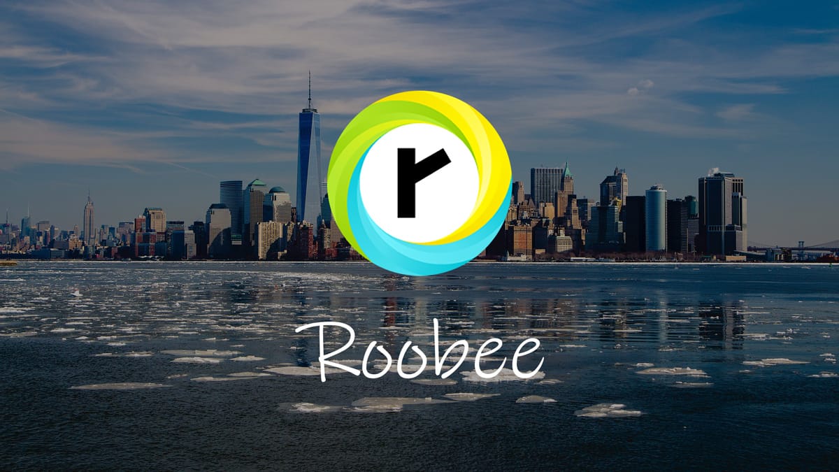 What is Roobee? Investments Open To Everyone