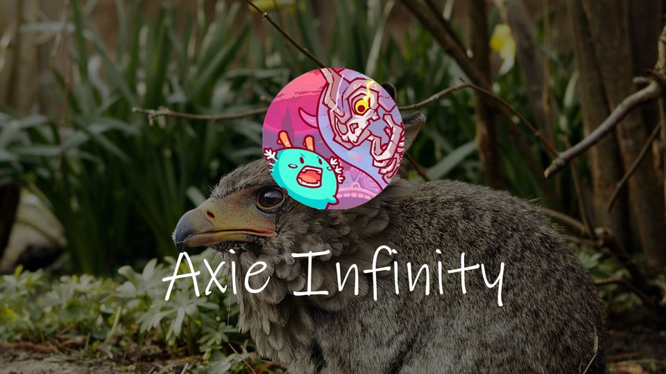 What is Axie Infinity? Gaming To Earn Money