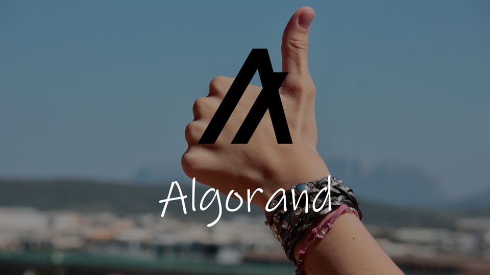A week in Algorand: All we do is win?