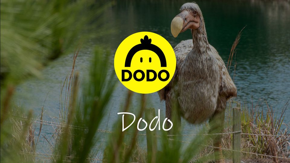 What is DODO? Meet The Proactive Market Maker
