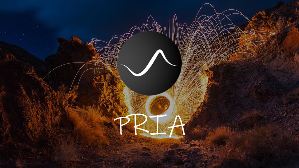 What is PRIA? Ultra-deflationary Tokenomics