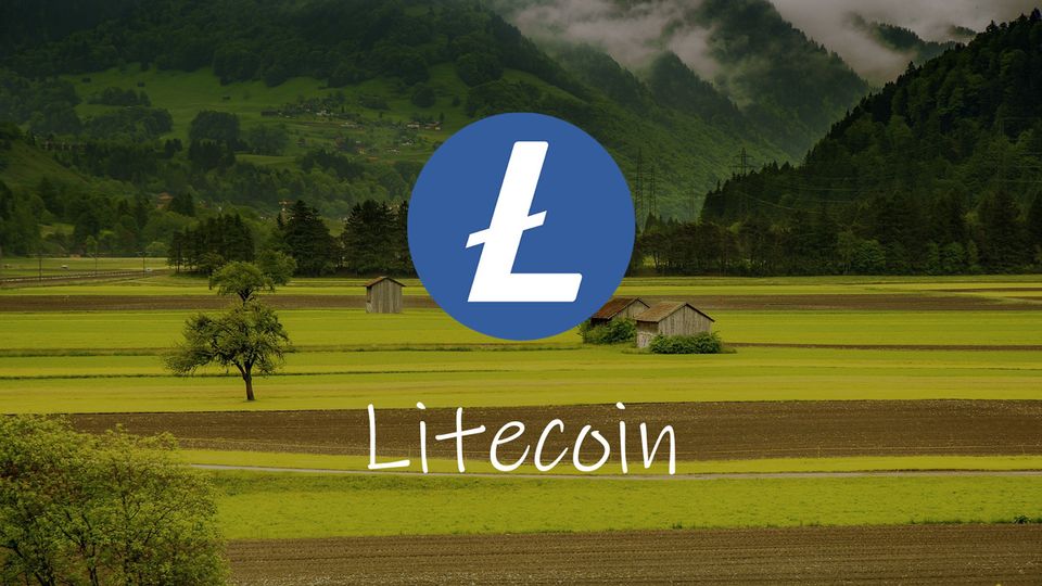 Litecoin and Cardano talk potential Velvet Fork for Cross-Chain compatibility