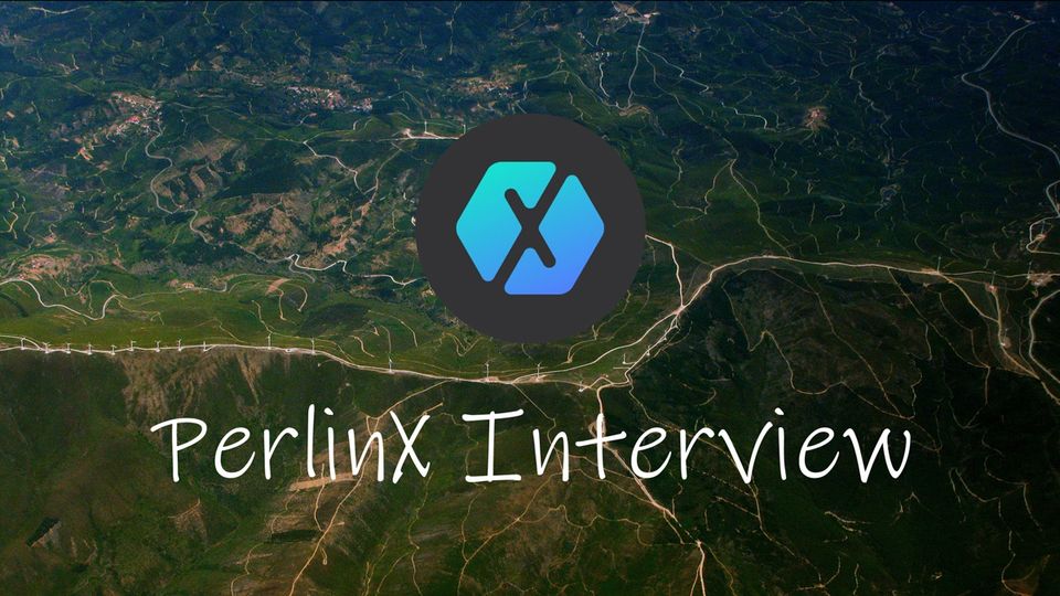 Interview with PerlinX: The Asset Liquidity Engine