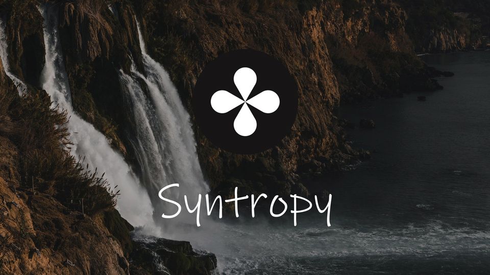 What is Syntropy? NOIA Token Explained