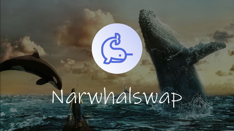 What is Narwhalswap? Automated Market Maker on BSC