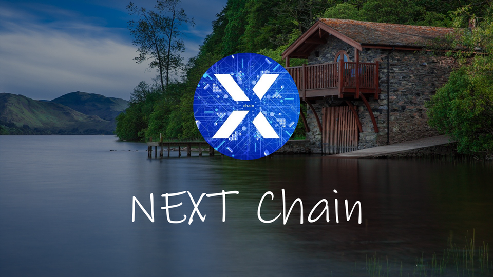 What is NEXT Exchange? NEXT Chain and Token Review