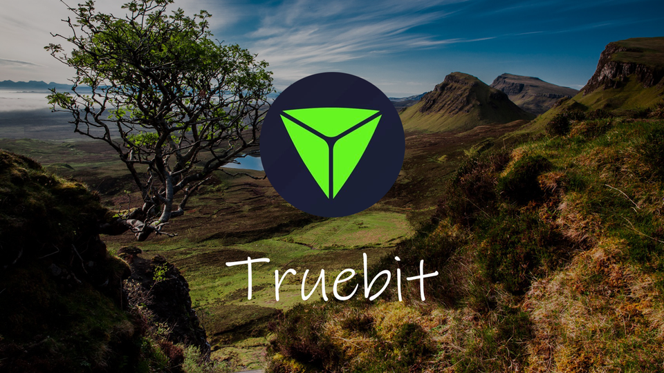 What is Truebit? TRU Token Review