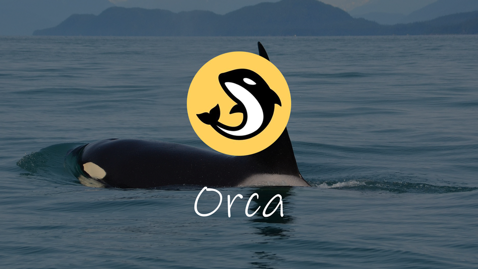 What is Orca? Learn how to Double dip your DeFi Rewards